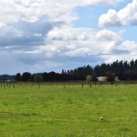 Lemon Hill Ranch images 3
