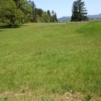Lemon Hill Ranch images 4
