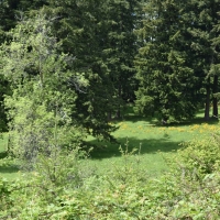 Lemon Hill Ranch images 5