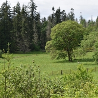 Lemon Hill Ranch images 6