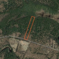 7 acres Hunting Land near Oneida Lake images 4