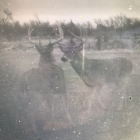 OK - Ellis McClure Ranch 4300 acres -
