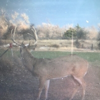 OK - Ellis McClure Ranch 4300 acres - images 2