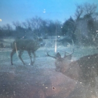 OK - Ellis McClure Ranch 4300 acres - images 3