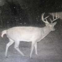 OK - Ellis McClure Ranch 4300 acres - images 6