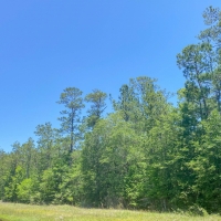 10 Acres FM 943 images 2