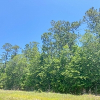 10 Acres FM 943 images 4