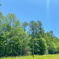 10 Acres FM 943 images 5