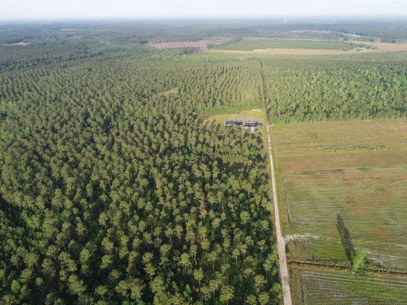 Cypress Pond Farm featured image