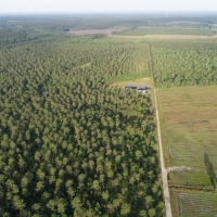 Cypress Pond Farm