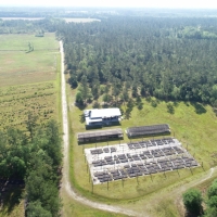 Cypress Pond Farm images 4