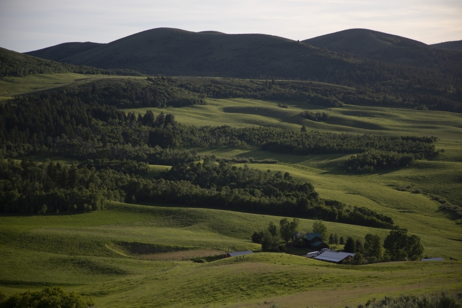 Flyin Elk Ranch featured image