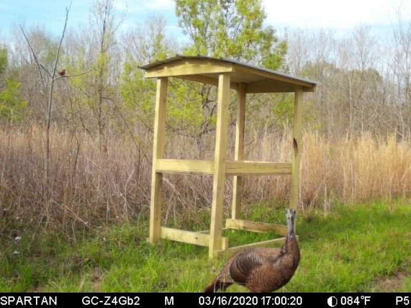 LA - Tensas Lil Dab Hunting Club 159 acres - featured image