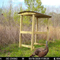 LA - Tensas Lil Dab Hunting Club 159 acres -