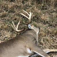 LA - Tensas Lil Dab Hunting Club 159 acres - images 2