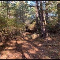 15 A Acres in Neshoba County in Philadelphia MS