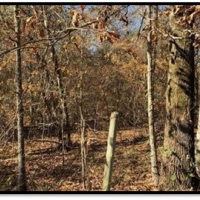 15 A Acres in Neshoba County in Philadelphia MS images 5
