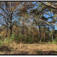 15 A Acres in Neshoba County in Philadelphia MS images 6