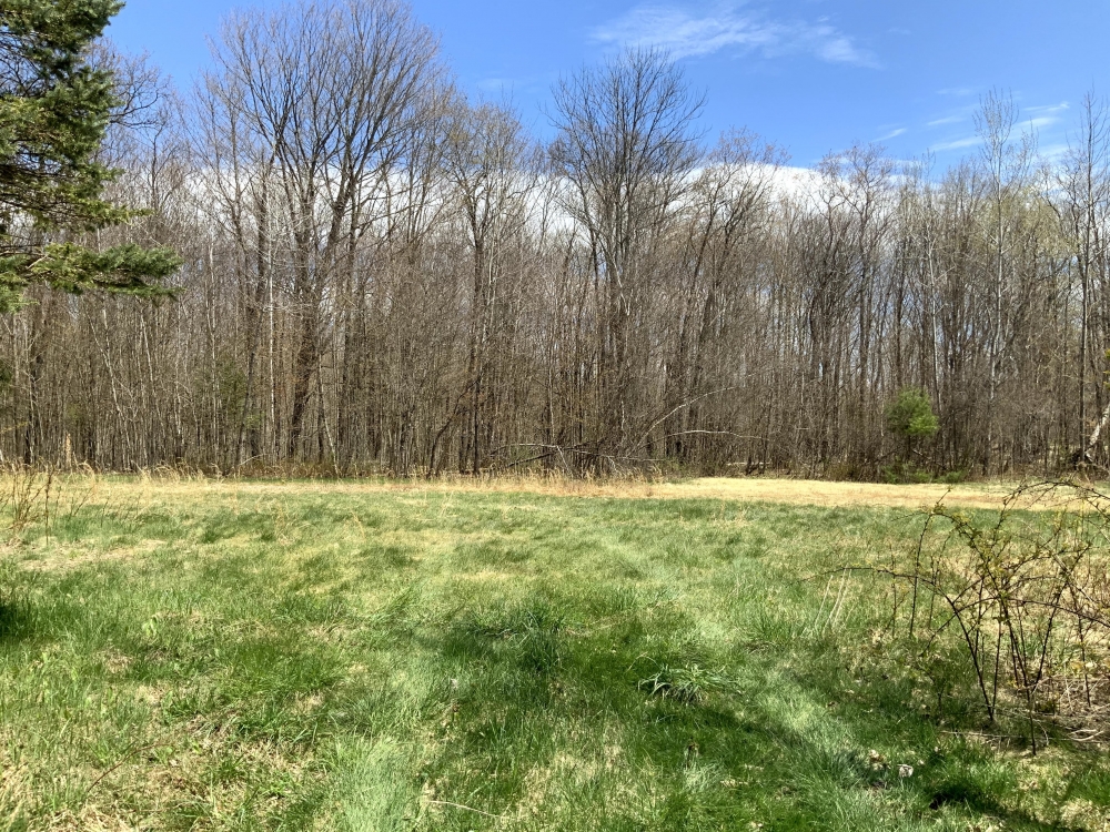 11.8 acres Hunting Land with Building Site Florence NY featured image