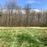 11.8 acres Hunting Land with Building Site Florence NY