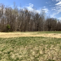 11.8 acres Hunting Land with Building Site Florence NY images 6