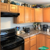 43.75 ac - Wooded Tract with Small Home images 3
