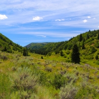 Mountain Vista at Elk Creek Ranch images 2