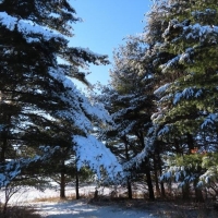 Iroquois Land Trust Farm images 3