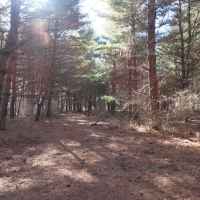 Iroquois Land Trust Farm images 4