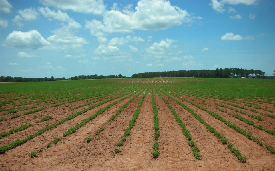 266 Ac Fly-In Hunting Investment Property featured image