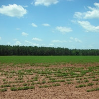 266 Ac Fly-In Hunting Investment Property images 3
