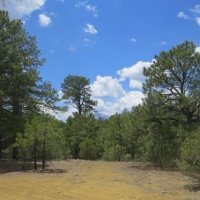 150 Blackhawk Ranch images 6