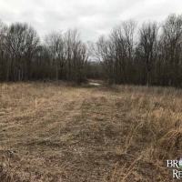 LA - Madison Humble 109 acres - images 2