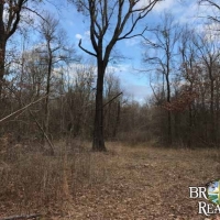 LA - Madison Humble 109 acres - images 3