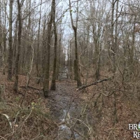 LA - Madison Humble 109 acres - images 6