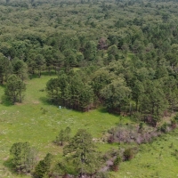 Stringtown Hunting Retreat 335-SKB images 3