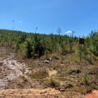 36 Acres in Leake County in Kosciusko MS images 5