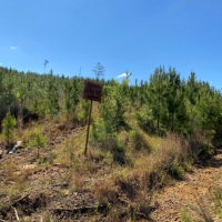 36 Acres in Leake County in Kosciusko MS images 6