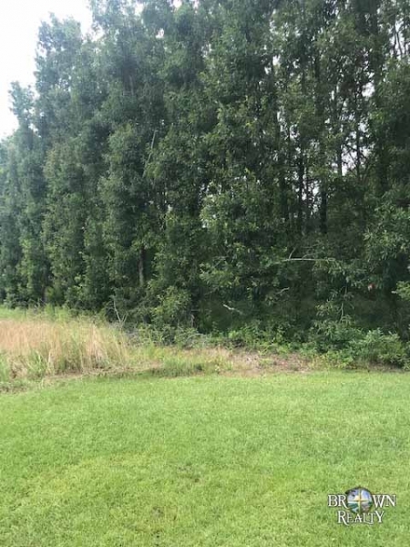LA - Richland Mulhern 370 acres - featured image