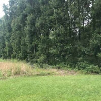 LA - Richland Mulhern 370 acres -