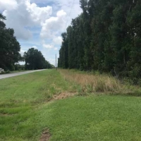 LA - Richland Mulhern 370 acres - images 2