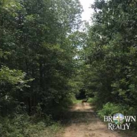 LA - Richland Mulhern 370 acres - images 6