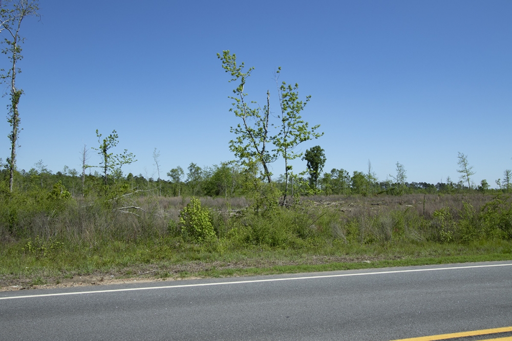 15.41 Acres in Jefferson County featured image