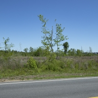 15.41 Acres in Jefferson County