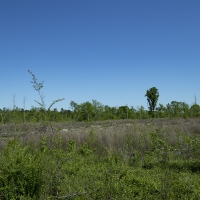 15.41 Acres in Jefferson County images 2