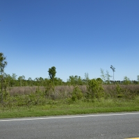 15.41 Acres in Jefferson County images 5