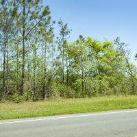 15.41 Acres in Jefferson County images 4