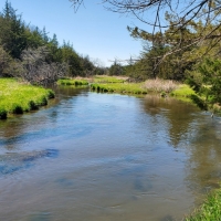 Maxwell South Channel Wildlife images 2