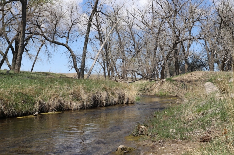 Cottonwood Ranch featured image