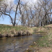 Cottonwood Ranch